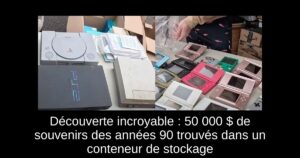 Découverte incroyable : 50 000 $ de souvenirs des années 90 trouvés dans un conteneur de stockage