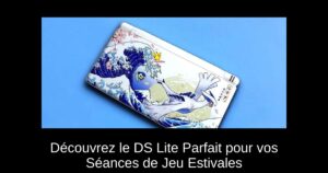 Découvrez le DS Lite Parfait pour vos Séances de Jeu Estivales