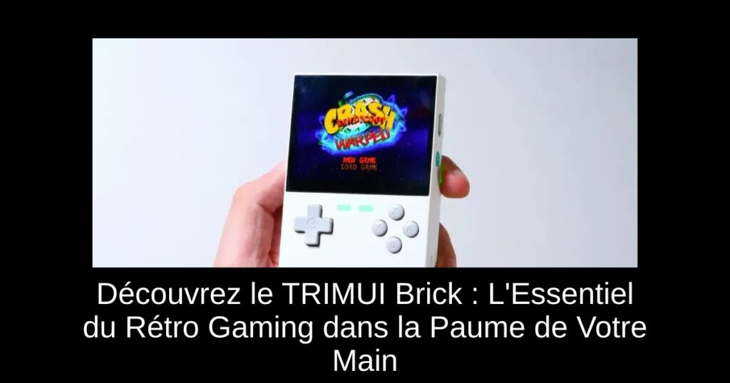 Découvrez le TRIMUI Brick : L'Essentiel du Rétro Gaming dans la Paume de Votre Main