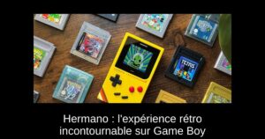 Hermano : l'expérience rétro incontournable sur Game Boy
