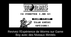 Revivez l'Expérience de Worms sur Game Boy avec des Niveaux Illimités