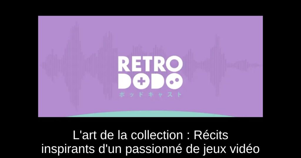 L'art de la collection : Récits inspirants d'un passionné de jeux vidéo