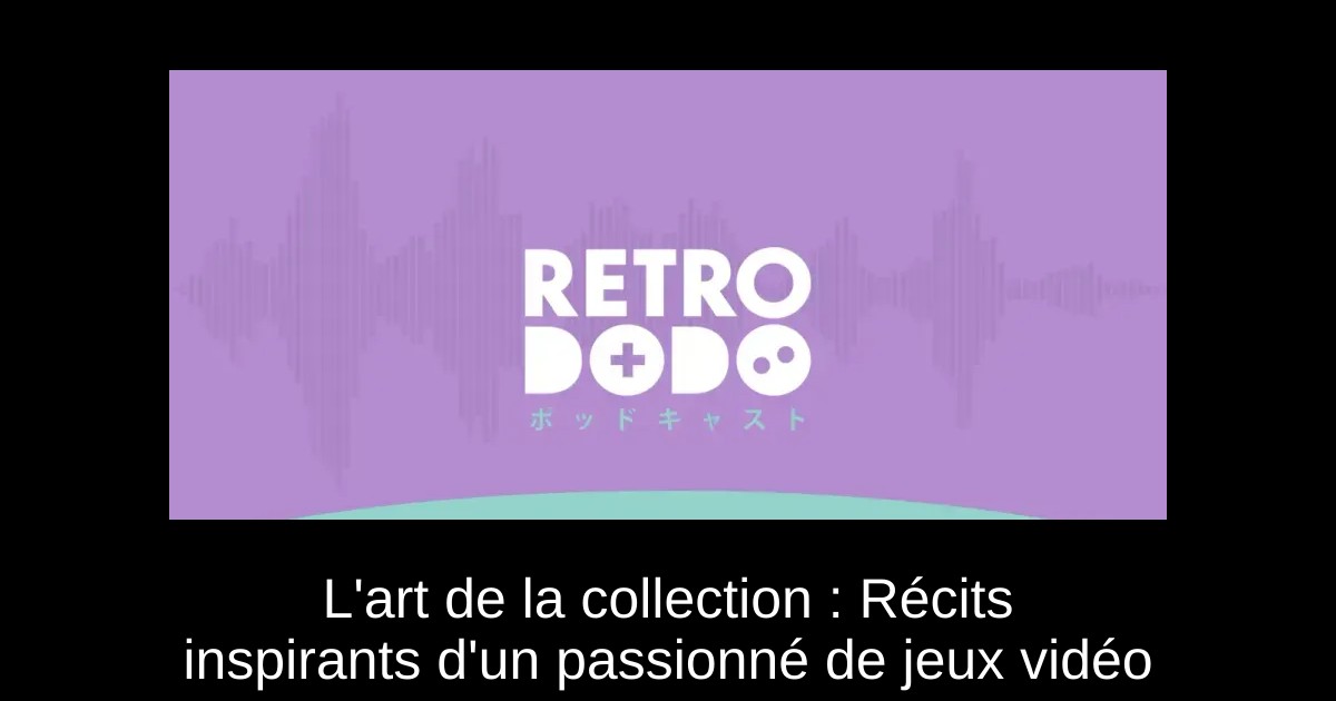 L'art de la collection : Récits inspirants d'un passionné de jeux vidéo