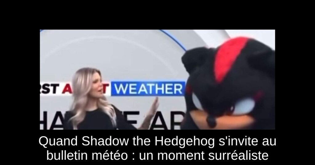 Quand Shadow the Hedgehog s’invite au bulletin météo : un moment surréaliste
