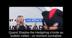Quand Shadow the Hedgehog s'invite au bulletin météo : un moment surréaliste
