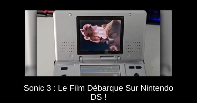 Sonic 3 : Le Film Débarque Sur Nintendo DS !