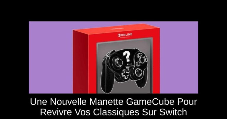 Une Nouvelle Manette GameCube Pour Revivre Vos Classiques Sur Switch