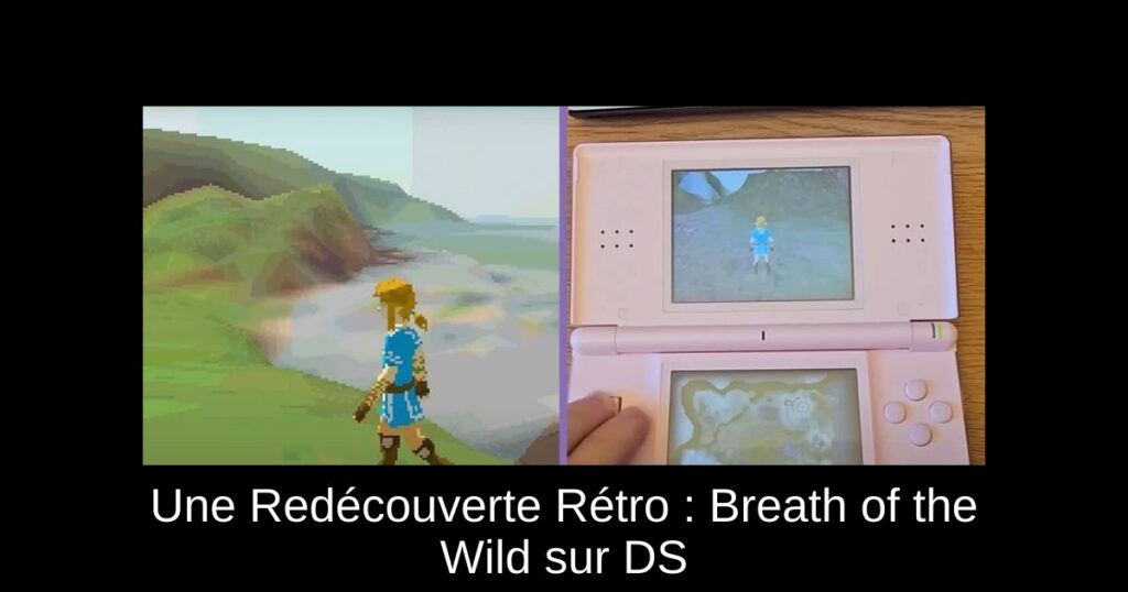 Une Redécouverte Rétro : Breath of the Wild sur DS