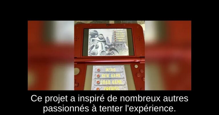 Ce projet a inspiré de nombreux autres passionnés à tenter l'expérience.