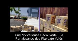 Une Mystérieuse Découverte : La Renaissance des Playdate Volés