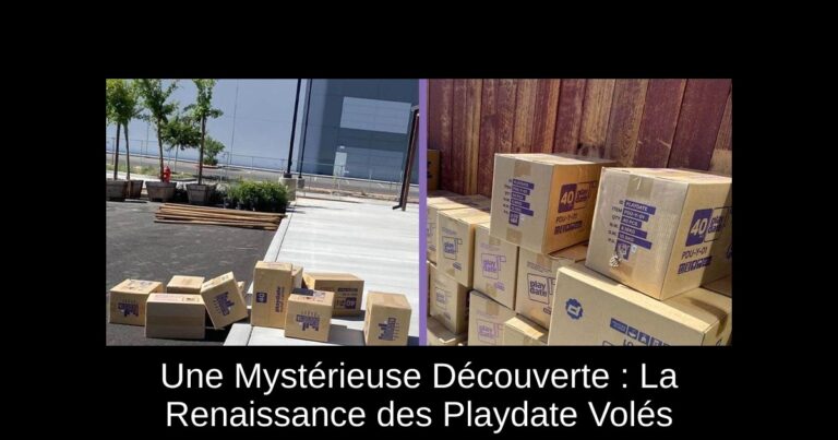 Une Mystérieuse Découverte : La Renaissance des Playdate Volés