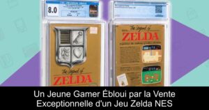 Un Jeune Gamer Ébloui par la Vente Exceptionnelle d'un Jeu Zelda NES