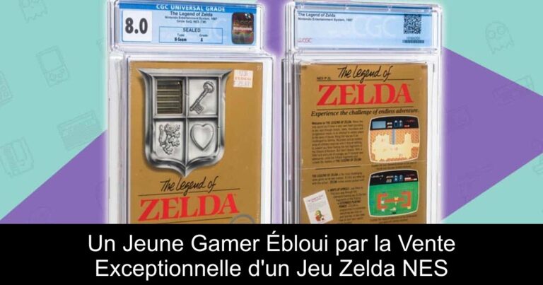 Un Jeune Gamer Ébloui par la Vente Exceptionnelle d'un Jeu Zelda NES