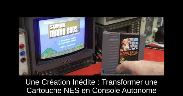 Une Création Inédite : Transformer une Cartouche NES en Console Autonome