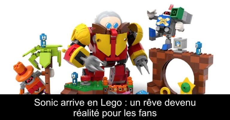 Sonic arrive en Lego : un rêve devenu réalité pour les fans