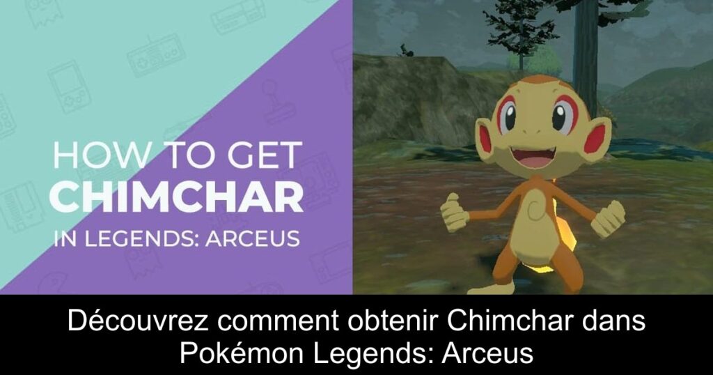 Découvrez comment obtenir Chimchar dans Pokémon Legends: Arceus