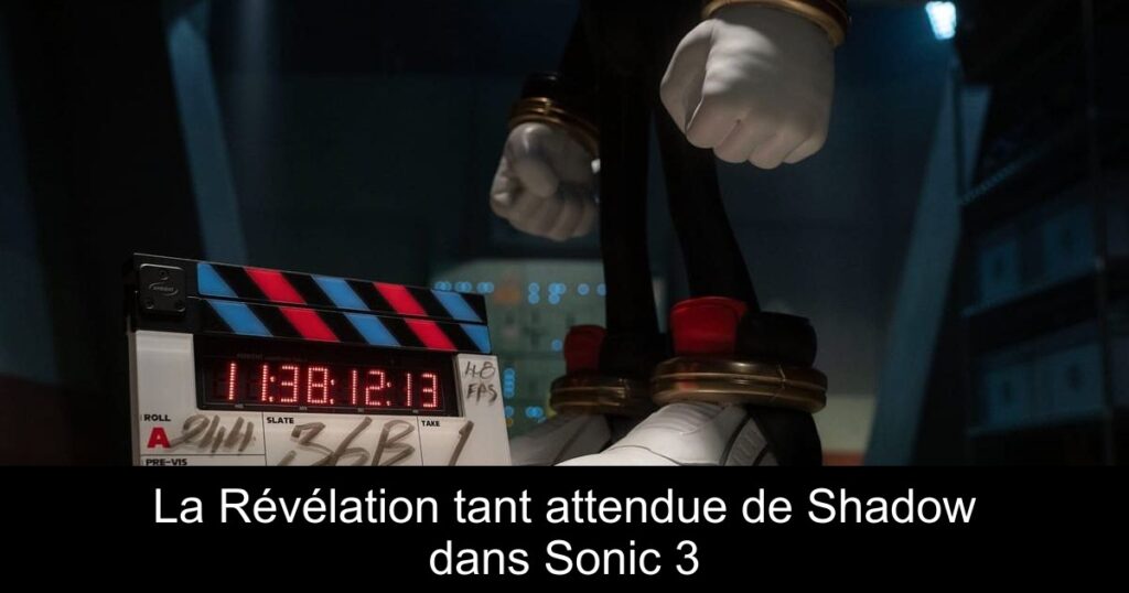 La Révélation tant attendue de Shadow dans Sonic 3