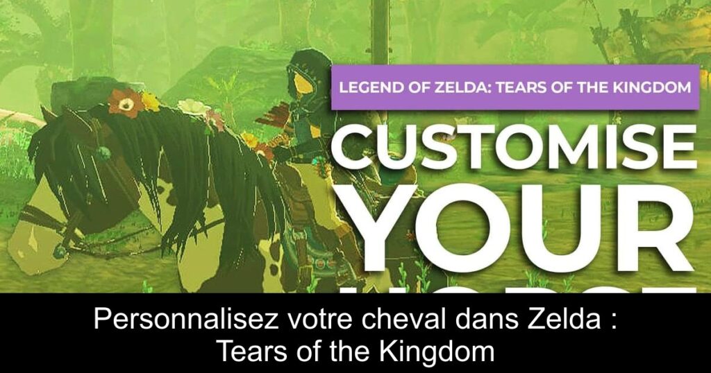 Personnalisez votre cheval dans Zelda : Tears of the Kingdom