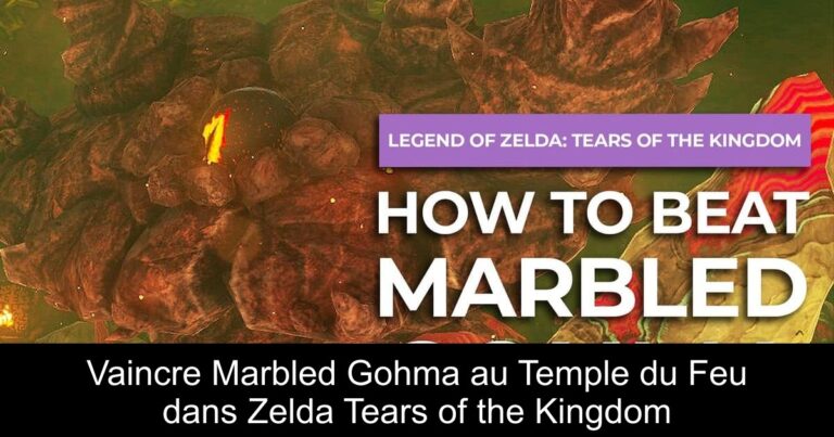 Vaincre Marbled Gohma au Temple du Feu dans Zelda Tears of the Kingdom