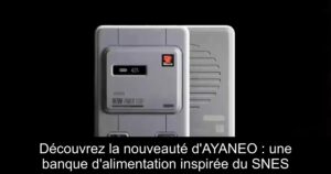 Découvrez la nouveauté d'AYANEO : une banque d'alimentation inspirée du SNES