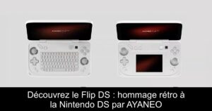 Découvrez le Flip DS : hommage rétro à la Nintendo DS par AYANEO