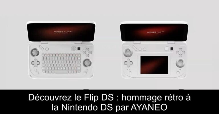 Découvrez le Flip DS : hommage rétro à la Nintendo DS par AYANEO