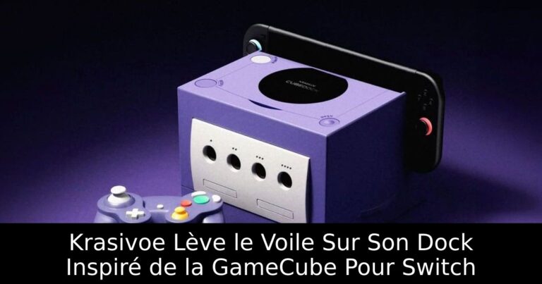 Krasivoe Lève le Voile Sur Son Dock Inspiré de la GameCube Pour Switch