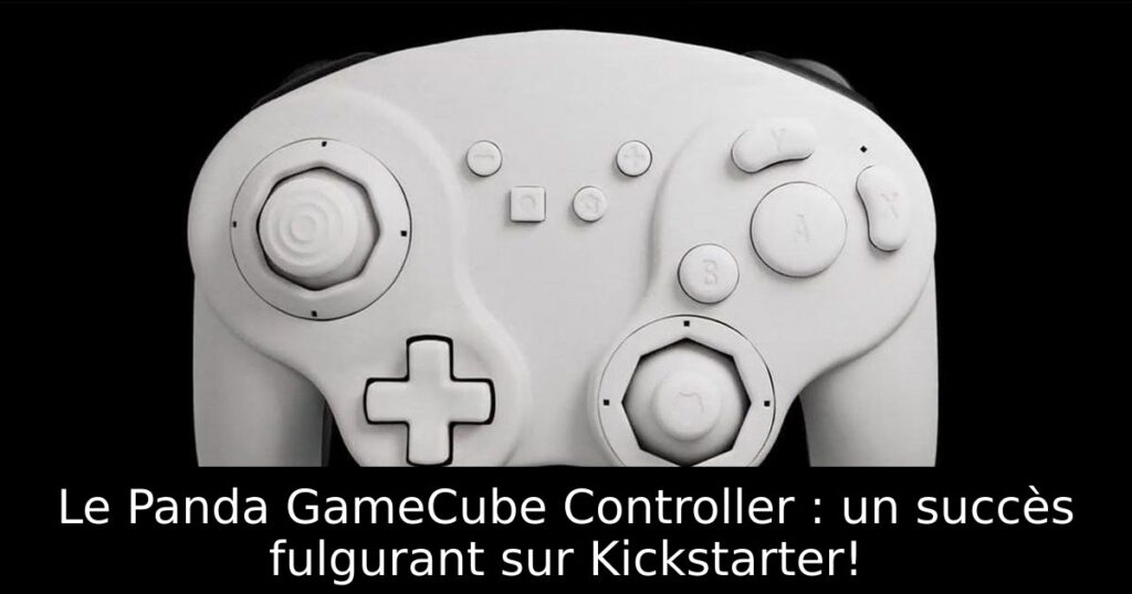 Le Panda GameCube Controller : un succès fulgurant sur Kickstarter!