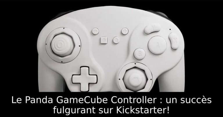 Le Panda GameCube Controller : un succès fulgurant sur Kickstarter!