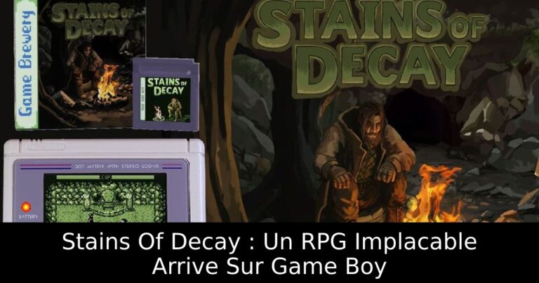 Stains Of Decay : Un RPG Implacable Arrive Sur Game Boy