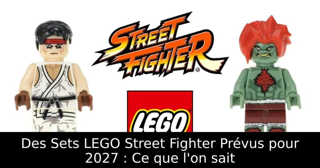 Des Sets LEGO Street Fighter Prévus pour 2027 : Ce que l'on sait