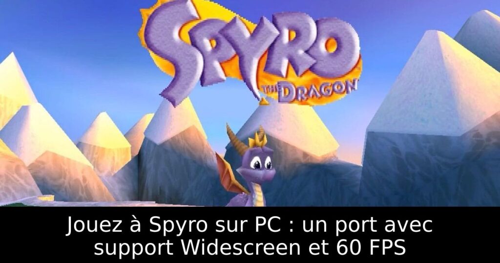 Jouez à Spyro sur PC : un port avec support Widescreen et 60 FPS
