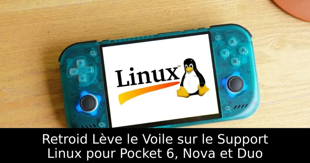 Retroid Lève le Voile sur le Support Linux pour Pocket 6, Nova et Duo