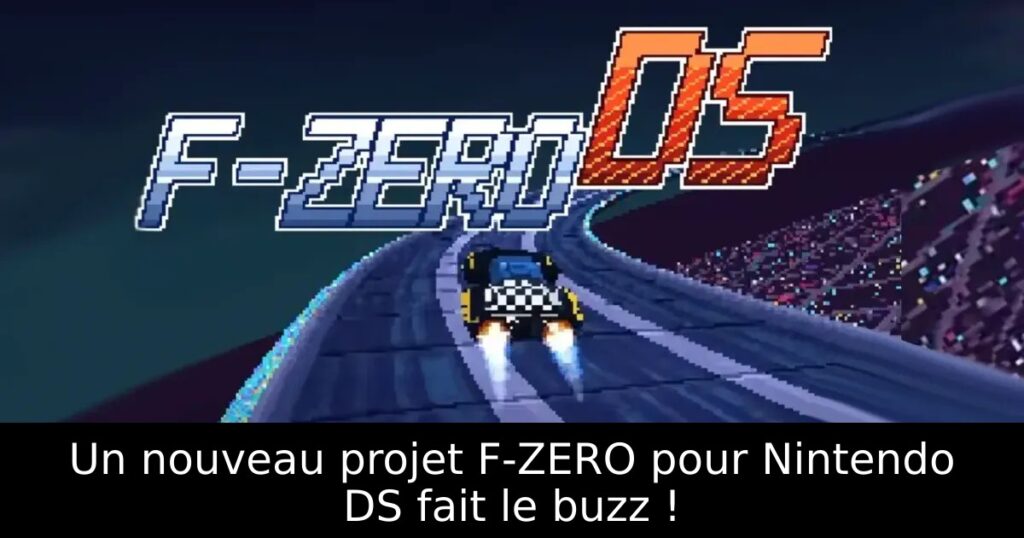 Un nouveau projet F-ZERO pour Nintendo DS fait le buzz !